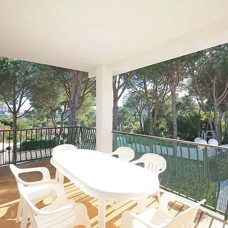 Magnolia * L' Escala